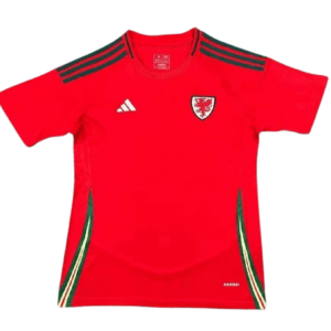 Replica camiseta Gales