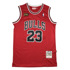 Camiseta Bulls Jordan