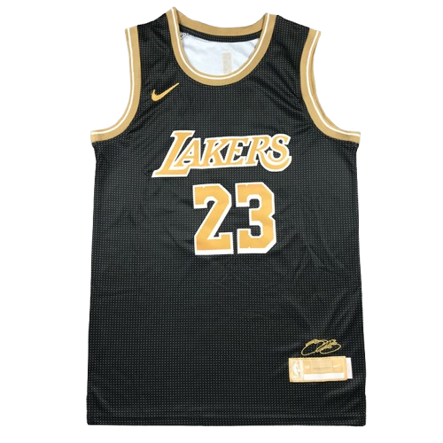 Camiseta Lakers Lebron James